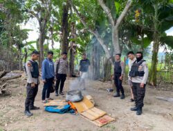 Sikat Judi Sabung Ayam Tanpa Kompromi, Ton Satu Dalmas Polres Bima Bakar Gelanggang dan Gorok Ayam Aduan