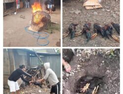 Resahkan Warga, Dua Lokasi Sabung Ayam Diobrak-abrik Tim Puma 2 Polres Bima Kota
