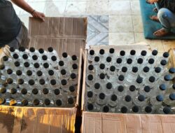 Ratusan Botol Miras Jenis Arak Bali Siap Edar Berhasil Disita Tim Opsnal Polsek Rasbar