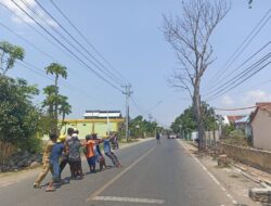 Di Khawatirkan  Tumbang, Polsubsektor Daru dan Warga Potong Pohon Mati di Pinggir Jalan
