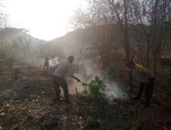 Polsek Wera Tanggap Karhutla,  Masyarakat dan Polisi Bersatu Padamkan Api