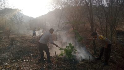 Polsek Wera Tanggap Karhutla,  Masyarakat dan Polisi Bersatu Padamkan Api