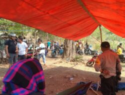 Arena Judi Sabung Ayam di Grebek Polsek Belo Para Pelaku Lari Kocar-kacir