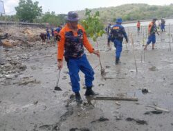 Tanam Pohon Mangrove Sebanyak 1.000 Pohon, Satpolairud Polres Bima Kota dan Satpolairud gabungan Sepulau Sumbawa Tingkatkan Kesadaran Lingkungan