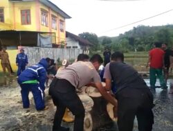 Personel Polres Bima Kota Bersama BPBD dan Damkar Evakuasi Pohon Tumbang