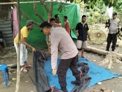Grebek Judi Ayam, Polsek Belo Amankan 3 Ekor Ayam, Para Pelaku Lari Tunggang langgang