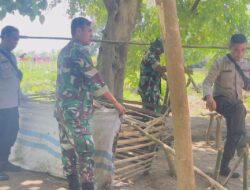 Grebek Judi Sabung Ayam, Polsek Bolo Bakar Alat Peraga Judi di Tempat