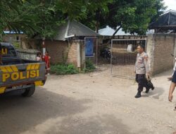 Polsek Bolo Grebek Judi Sabung Ayam, 2 Ekor Ayam di Sembelih Para Penyabung Lari Tunggang langgang