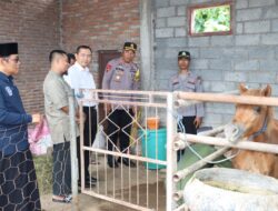 Kapolda NTB Irjen Pol. Drs. R.Umar Faroq  SH.M.HUM., Kunjungi Peternakan Susu Kuda Perah