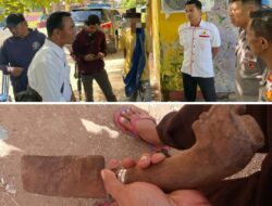 Dua Hari Diburu, Akhirnya Pelaku Penganiayaan di Desa Tangga Dibekuk Unit Intel Polsek Monta