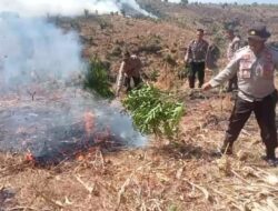 Tim Gabungan Personel Polsek Bolo dan Polsek Donggo  Padamkan Kebakaran Lahan.