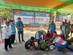 Polsubsektor Palibelo Laksanakan Monitoring dan Pengamanan Pemotongan Hewan Qurban Dari TURKIYE DIYANET VAKFI