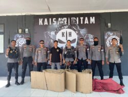 Gerebek Judi Sabung Ayam, Sat Samapta Polres Bima Kota Sita Ayam Aduan dan Gelanggang Aduan