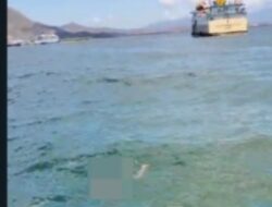 Sosok Lelaki Bugil Ditemukan Tewas Mengapung di Sekitar Pelabuhan Bima, Polsek Kawasan dan Sat Polairud Polres Bima Gerak Cepat Evakuasi