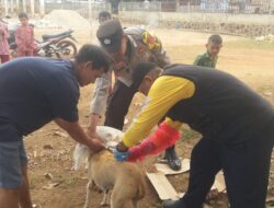Bhabinkamtibmas Desa Parado Wane Polsek Parado Laksanakan Pendampingan Vaksin Rabies