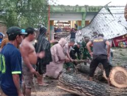 Gerak Cepat Polsek Bolo Evakuasi Pohon Tumbang di Jalan Linta Bima- Dompu