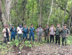 Cegah Ilegal Loging Bhabinkamtibmas Polsek Sanggar dan KPH Tambora Laksanakan Patroli Gabungan