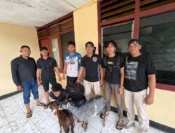 Curi Kambing untuk Foya-Foya, Dua Pelaku Disergap Tim Opsnal Polsek Sape