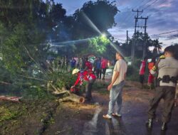 Sigap Polsek Woha Datang dan Evakuasi Pohon Tumbang di Desa Rabakodo
