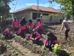 Mendukung Ketahanan Pangan, Polsek Sanggar Tanam Tanaman Holtikultura di Pekarangan Pekarangan Bergizi