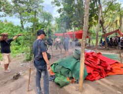Gerebek Judi Sabung Ayam, Polsek Sape Sita 4 Ekor Ayam Jago dan Bakar Gelanggang Aduan