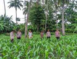 Dukungan Program Ketahanan Pangan, Polres Bima Laksanakan Pengecekan Lahan Program Ketahanan Pangan Bergizi (P2B)