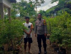 Bhabinkamtibmas Polsek Bolo Sosialisasi Warga Binaan Jadikan Pekarangan Rumah Sebagai Lahan Bergizi