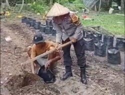 Dukung Program Ketahanan Pangan Nasional, Bhabinkamtibmas Polsek Bolo Seraya Cooling System Jaga Kamtibmas