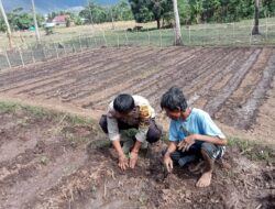 Komitmen Dukung Penuh Program Ketahanan Pangan Nasional, Bhabinkamtibmas Polsek Soromandi Cek Progres Tanaman