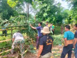 Lestarikan Budaya Gotong Royong, Bhabinkamtibmas Polsek Madapangga Membantu Warga Membuat Pagar TPU