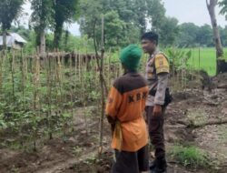 Mendukung Penuh Program Presiden RI, Bhabinkamtibmas Jajaran Polres Bima Aktif Dampingi Petani di Desa Binaan