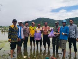 Bhabinkamtibmas Polsek Woha, Salurkan Bantuan Nasi Bungkus Bagi Warga Yang Terdampak Banjir