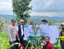 Polsek Wawo Laksanakan Kegiatan Penghijauan dan Penanaman Bibit Buah