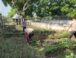Melalui Program Pekarangan Pangan Lestari P2L Bhayangkari Polsek Sanggar Dukung Ketahanan Pangan Nasional