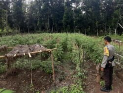 Polri Bersinergi Dengan Masyarakat Sukseskan Ketahanan Pangan, Bhabinkamtibmas Polsek Madapangga Cek Lahan Bergizi Milik Warga Binaan