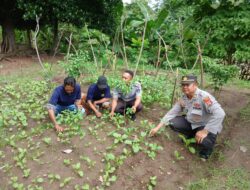 Sat Binmas Polres Bima Kota Laksanakan Pengecekan Pekarangan Pangan Bergizi (P2B) di Rutan Raba