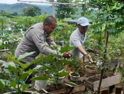 Program Ketahanan Pangan Nasional, Bhabinkamtibmas Polsubsektor Palibelo, Cek Pekarangan Bergizi Milik Warga Binaan