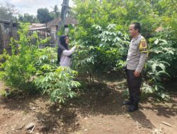 Dukung Ketahanan Pangan, Bhabinkamtibmas Polsek Asakota Monitoring Lahan Pekarangan Bergizi Milik Warga