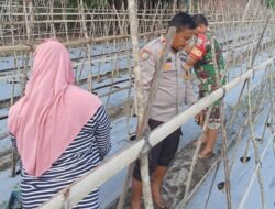Bhabinkamtibmas Kelurahan Rite Dampingi Pengelolaan Pekarangan Pangan Bergizi