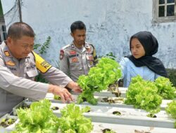 Dukung Ketahanan Pangan, Kasat Binmas Polres Bima Kota Pantau Lahan Pangan Bergizi Warga