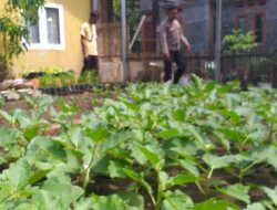 Bhabinkamtibmas Kelurahan Na’e Kontrol Tanaman Pangan dalam Rangka Mendukung Ketahanan Pangan Nasional