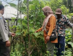 Bhabinkamtibmas Cek Pekarangan Pangan Bergizi, Dukung Ketahanan Pangan Program Asta Cita Presiden RI