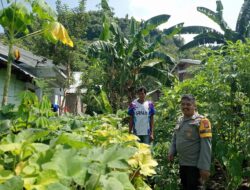 Bhabinkamtibmas Kendo Cek Pekarangan Pangan Bergizi untuk Dukung Ketahanan Pangan Nasional