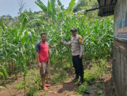 Bhabinkamtibmas Sambangi Petani Jagung, Ajak Dukung Ketahanan Pangan Nasional
