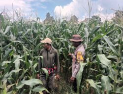 Mendukung Pertumbuhan Ekonomi Lokal dan Nasional, Bhabinkamtibmas Polsubsektor Palibelo Edukasi Warga Manfaatkan Lahan Produktif