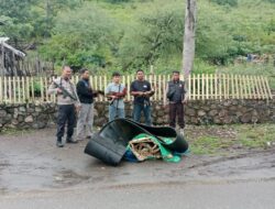 Polsek Ambalawi Bubarkan Judi Sabung Ayam di Desa Nipa Saat Bulan Ramadhan