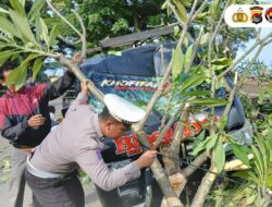 Respon Cepat, Personel Pospam Amahami Tangani Kecelakaan Tunggal di Pantai Lawata