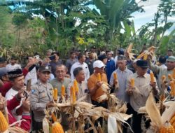 Bhabinkamtibmas Kelurahan Lelamase Hadiri Panen Raya Jagung Hibrida di Kota Bima