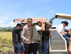 Kapolres Bima Kota Hadiri Panen Raya Padi Serentak Bersama Forkopimda
