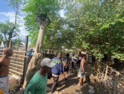 Gerebek Judi Sabung Ayam, Tim Opsnal Polsek Rasbar Sita 5 Ekor Ayam Aduan